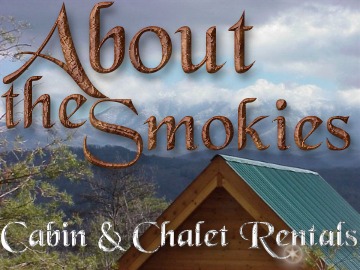 About The Smokies Bear Elegance Log Cabin Overnight Rental