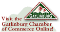 discount coupon specials on gatlinburg cabin seclusion and pigeon forge cabin rental privacy.
